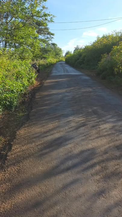 Lô đất 4.8 sào tại Pleiku giá chỉ 830 triệu - Cơ hội đầu tư không thể bỏ qua!