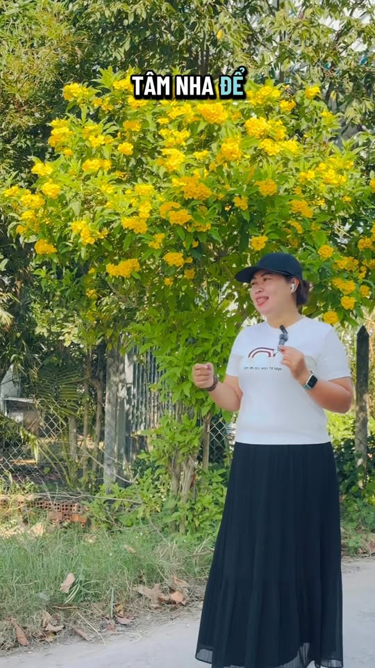 Đất nền 225m² Mỹ Hạnh Bắc, Đức Hòa chỉ 1.99 tỷ - Giá mềm, cơ hội đầu tư tuyệt vời!