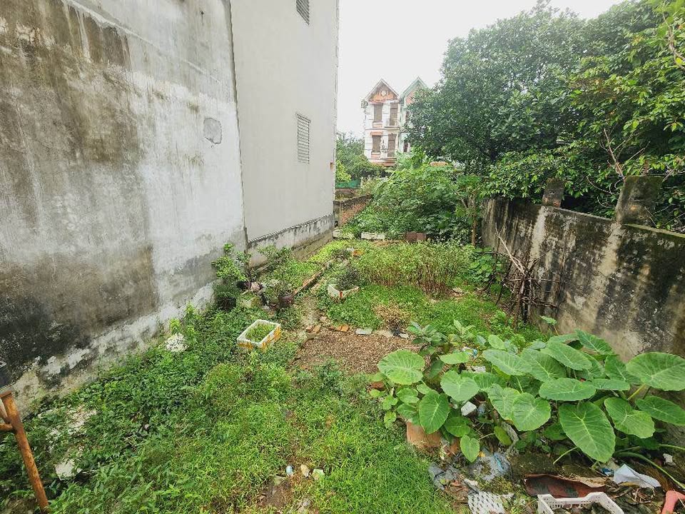 Đất nở hậu 58m² Tây Thăng Long giá chỉ 6 tỷ - Cơ hội đầu tư tuyệt vời!