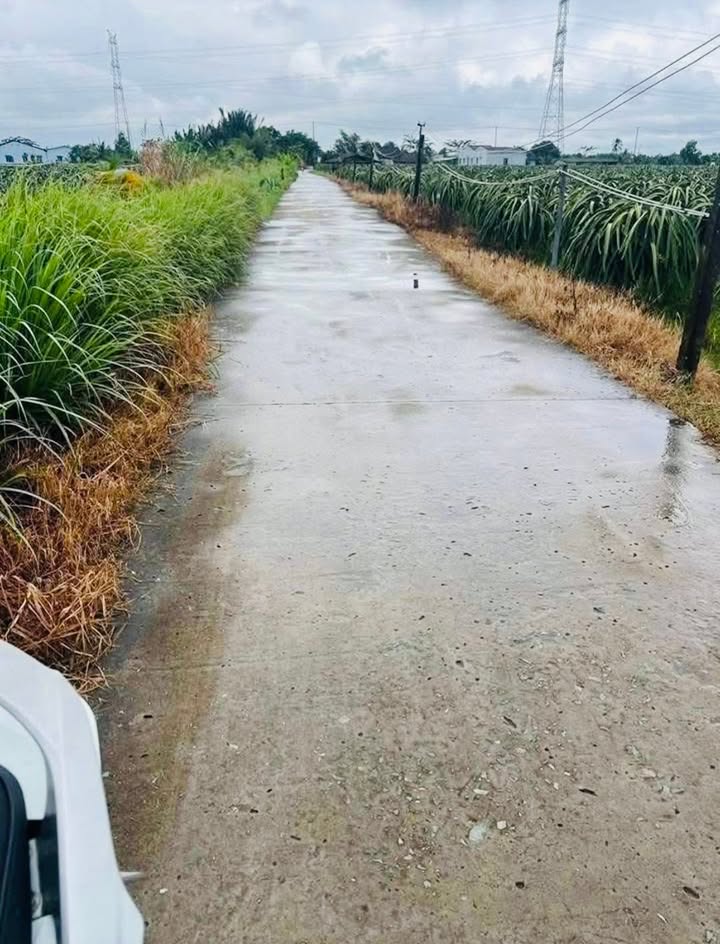 Đất thổ cư 1.000m² Vĩnh Công, Châu Thành, Long An - Giá 1.25 tỷ, thích hợp xây nhà vườn!