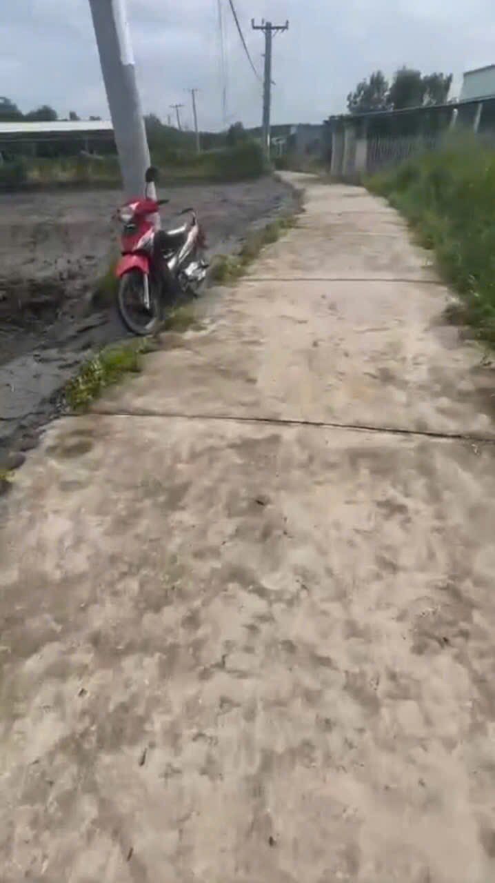 Đất nền Cần Giờ 619m² giá 2 tỷ - Sổ hồng chính chủ, đầu tư sinh lời!