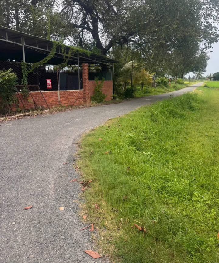 Đất nền đẹp 200m² tại Ấp Bảo, Long Thuận - Giá chỉ 375 triệu, cần bán gấp!