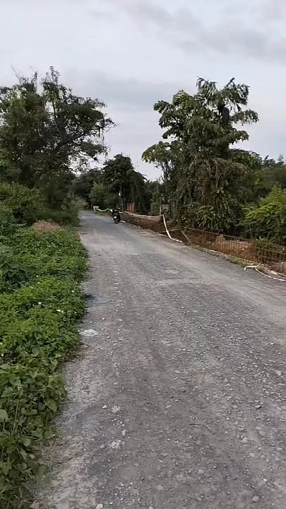 Đất nền mặt tiền bờ bao sông Sài Gòn, Bình Mỹ, 614m² - Giá chỉ 2 tỷ!