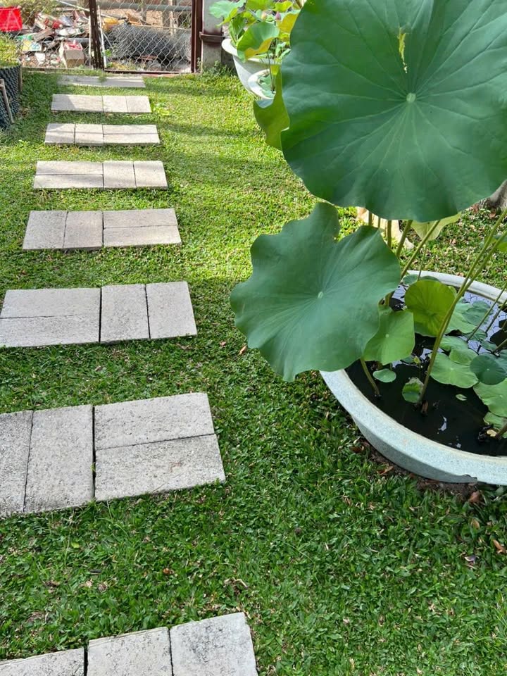 Đất thổ cư Hàm Liêm 230m² giá 600 triệu - Cơ hội đầu tư tuyệt vời!