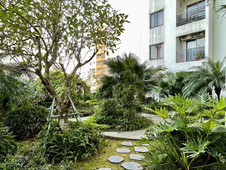 Căn hộ 3 phòng ngủ Ngoại Giao Đoàn 110m² giá 10 tỷ - Không thể bỏ lỡ!