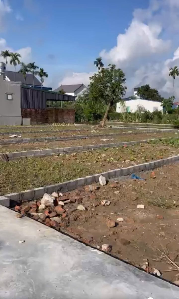 Đất liền kề Cầu Thượng, Quang Trung, An Lão 82m² - Mặt tiền rộng, vị trí đắc địa!