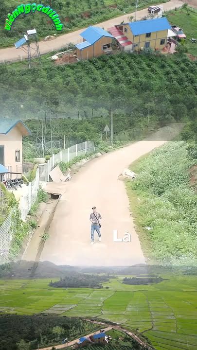 Biệt thự ruộng Bảo Thuận Di Linh 1000m² giá 1.85 tỷ - Không khí trong lành, view lúa tuyệt đẹp!