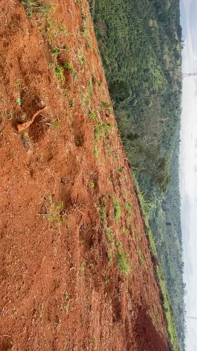 Đất nền Đắk N'Drung, Đắk Song 10.000m² giá 1.02 tỷ - Sổ hồng chính chủ!