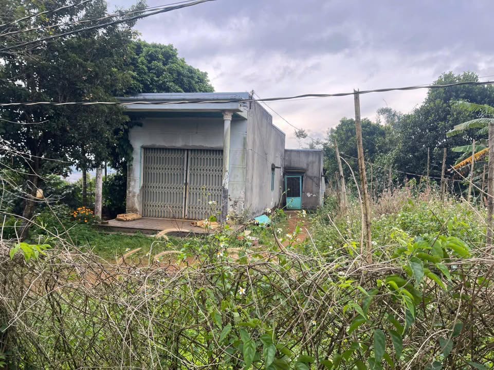 Đất nền xã Nâm N'Jang, Đăk Song 1000m² giá 600 triệu - Cơ hội đầu tư hấp dẫn!