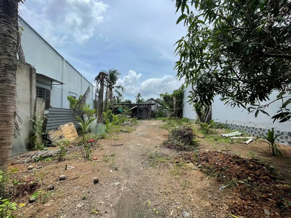 Đất nền tại xã Tam Phước, huyện Châu Thành, Bến Tre 1.090,9m² giá 3,5 tỷ - Tiềm năng phát triển lớn!