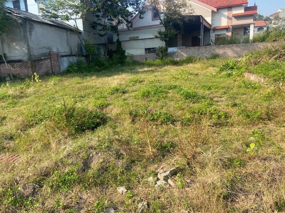 Đất nền Xóm Gẩy, Định Trung, Vĩnh Yên 116m² giá 1.6 tỷ - Đường rộng, vị trí đẹp!