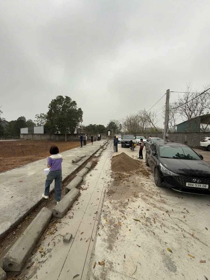 Đất nền Tam Hà, Bình Xuyên 86,2m² giá 1,2 tỷ - Sổ đỏ chính chủ, vị trí đẹp!