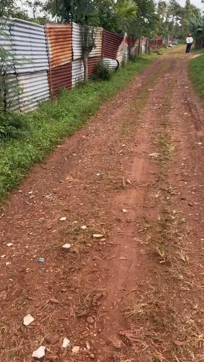 Đất nền 1ha tại xã Ea Kiết, Cư M'gar giá 3 tỷ - Đầu tư sinh lời ngay!