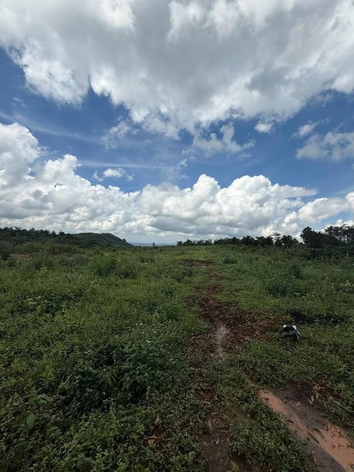 Đất nền 1,2ha tại Cư Dliê M'nông, Đắk Lắk giá 1,8 tỷ - Cơ hội đầu tư tuyệt vời!