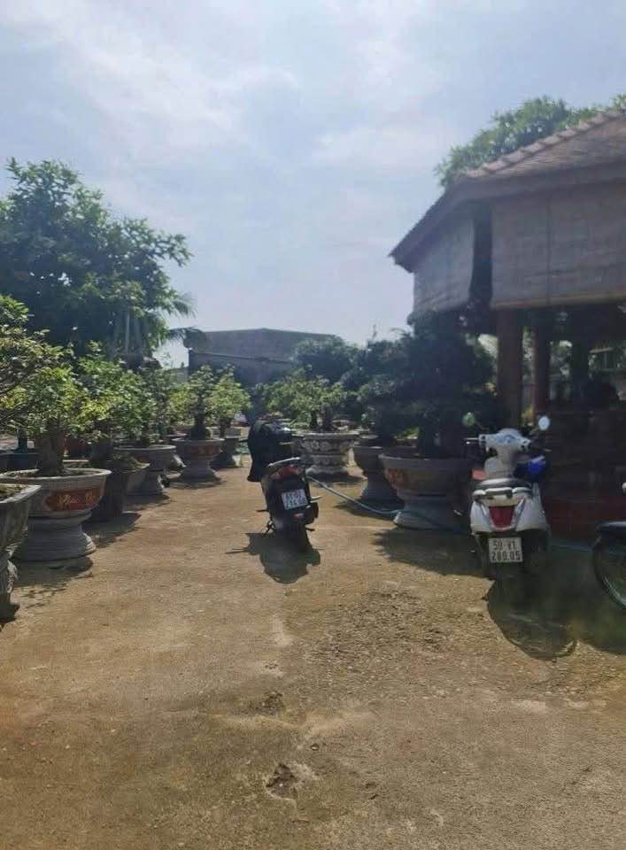 Đất vườn 456m² Dĩ An giá 7.2 tỷ - Sẵn sàng đầu tư ngay!