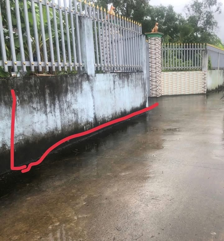 Đất thổ cư 340m² tại ấp 3B Phước Lợi, Bến Lức - Giá chỉ 1,5 tỷ!