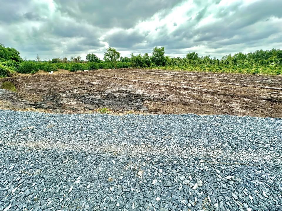 Đất nền Mỹ Quý Tây, Đức Huệ 655m² giá 420 triệu - Gần kênh lớn, tiện lợi cho đầu tư!