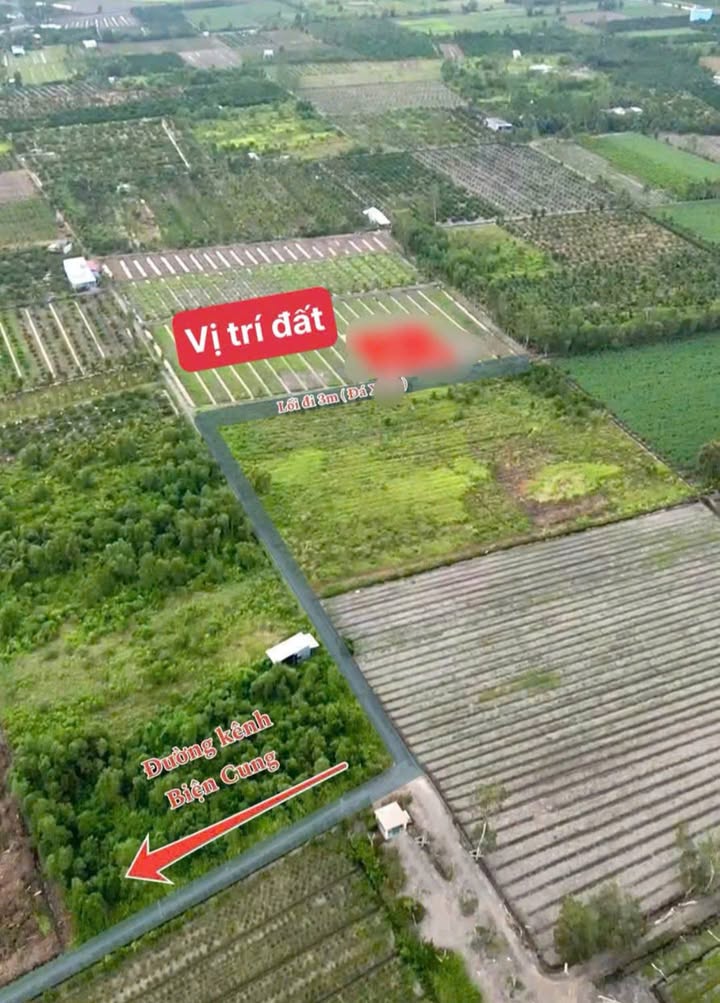 Đất nền xã Bình Đức, huyện Bến Lức, Long An 4500m² giá 2.925 tỷ - Đầu tư sinh lời tuyệt vời!