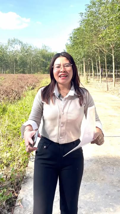 Đất nền Minh Thành 516m² giá chỉ 400 triệu - Cơ hội đầu tư tuyệt vời!