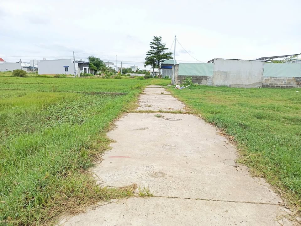 Đất thổ cư mặt tiền đường bê tông tại Phong Nẫm 105m² giá 1 tỷ - Cơ hội đầu tư hấp dẫn!