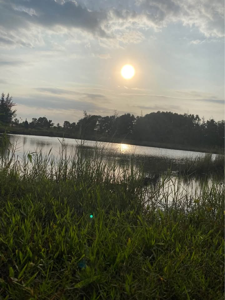 Đất thổ cư 300m² đường Ngô Đức Tốn, Phan Thiết - Giá 1.28 tỷ, sẵn sàng giao dịch!