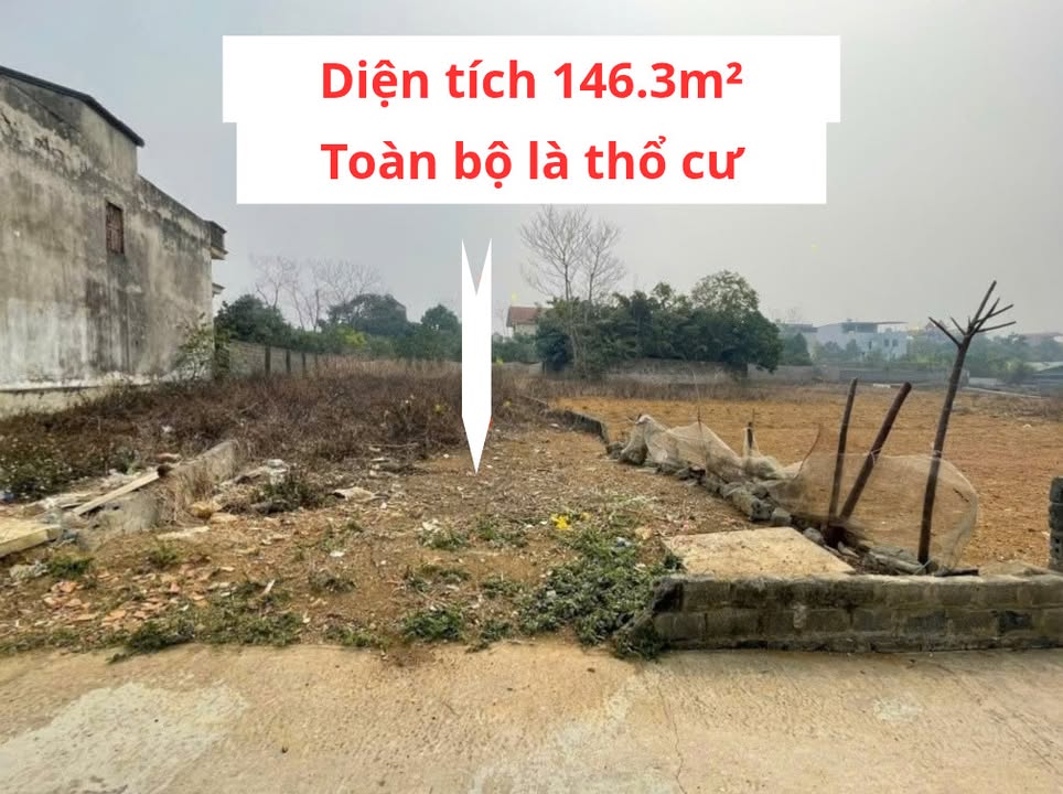 Đất thổ cư 146.3m² xã Đông Yên, huyện Quốc Oai giá chỉ 3 tỷ - Sổ hồng chính chủ!