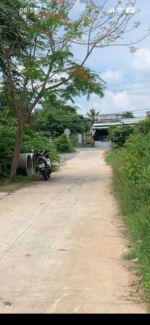 Đất nền khu phố Thanh Hùng, Tây Ninh 165m² giá 625 triệu - Mặt tiền đường bê tông!