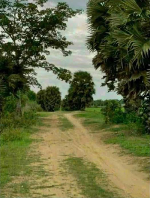 Đất công mặt tiền Bờ Lũy, Trà Vinh 2709m² giá chỉ 600 triệu - Cơ hội đầu tư hiếm có!