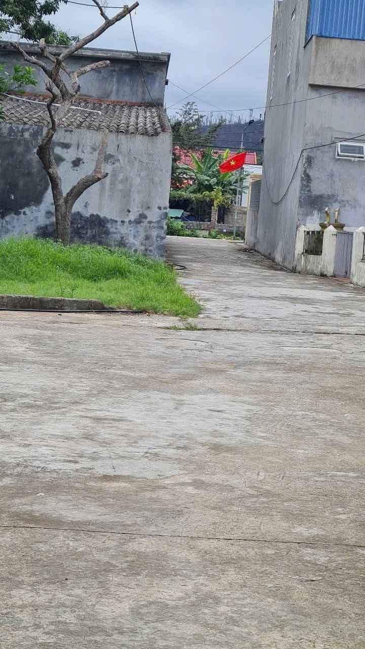 Đất nền góc đẹp An Thắng, An Lão, Hải Phòng 75m² - Ô tô vào tận đất!