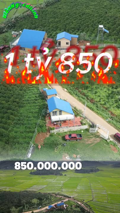 Biệt thự vườn Bảo Thuận Di Linh 1000m² giá 1.85 tỷ - Không khí trong lành, view ruộng đẹp!