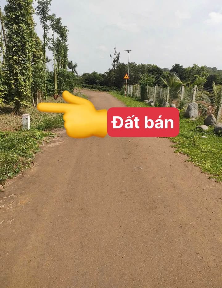 Đất phân lô 3000m² tại Quảng Thành, Châu Đức - Giá 2.4 tỷ hấp dẫn!