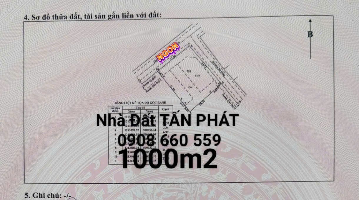Đất kinh doanh 990m² xã Tân Thạnh Đông, Củ Chi - Giá 16 tỷ, thương lượng!