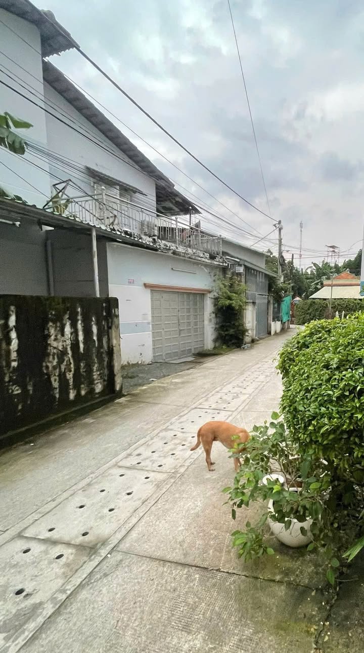 Nhà 1 trệt 1 lững Phú Lợi, Thủ Dầu Một 60m² giá 3.4 tỷ - Ô tô vào tận sân!