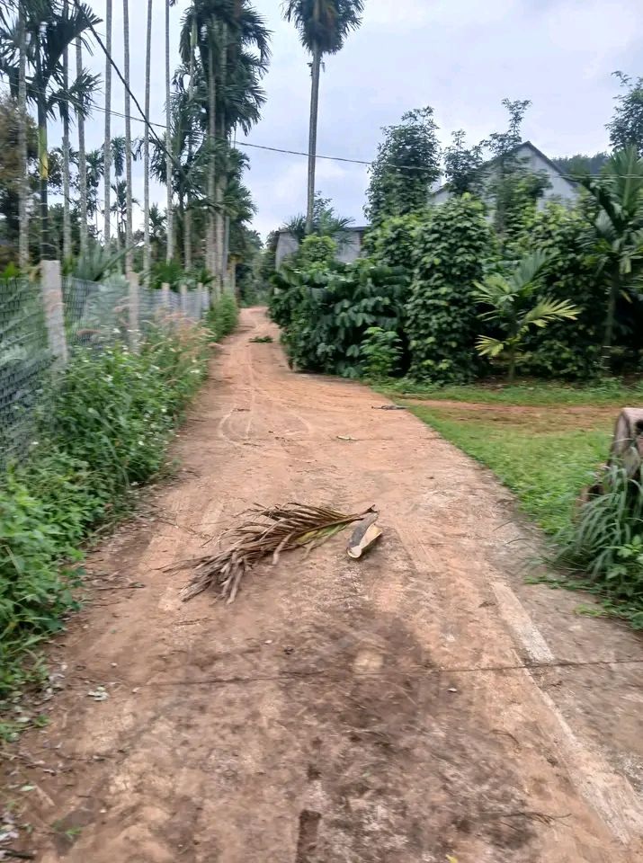 Đất nền Đức Minh, Đắk Mil 238m² giá 720 triệu - Pháp lý rõ ràng, đầu tư sinh lời!