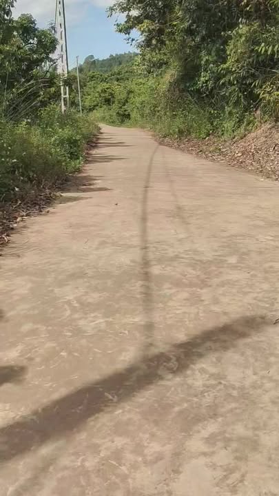 Đất thổ cư 360m² tại Đồng Cốc, Lục Ngạn, Bắc Giang - Cơ hội đầu tư hấp dẫn chỉ 1,3 tỷ!