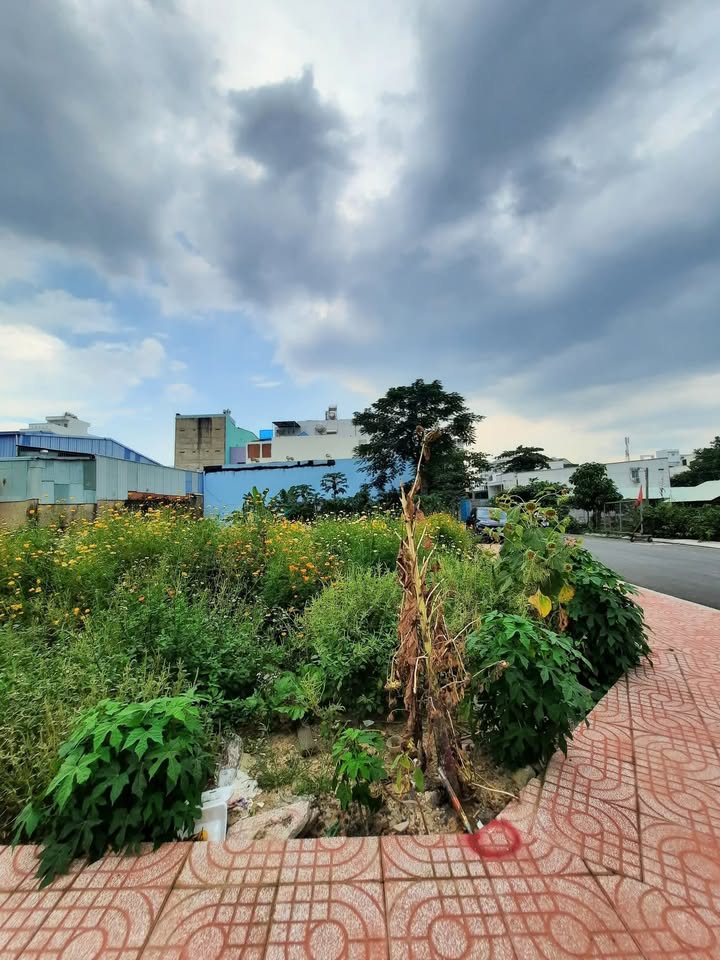 Đất nền An Lạc, Bình Tân 92m² giá 6 tỷ - Cơ hội đầu tư hấp dẫn!