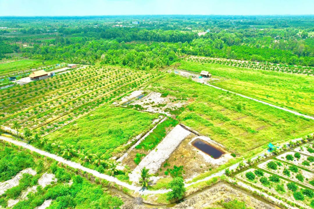 Đất nền xã Bình Đức, Bến Lức 1000m² giá 490 triệu - Đầu tư sinh lời lâu dài!