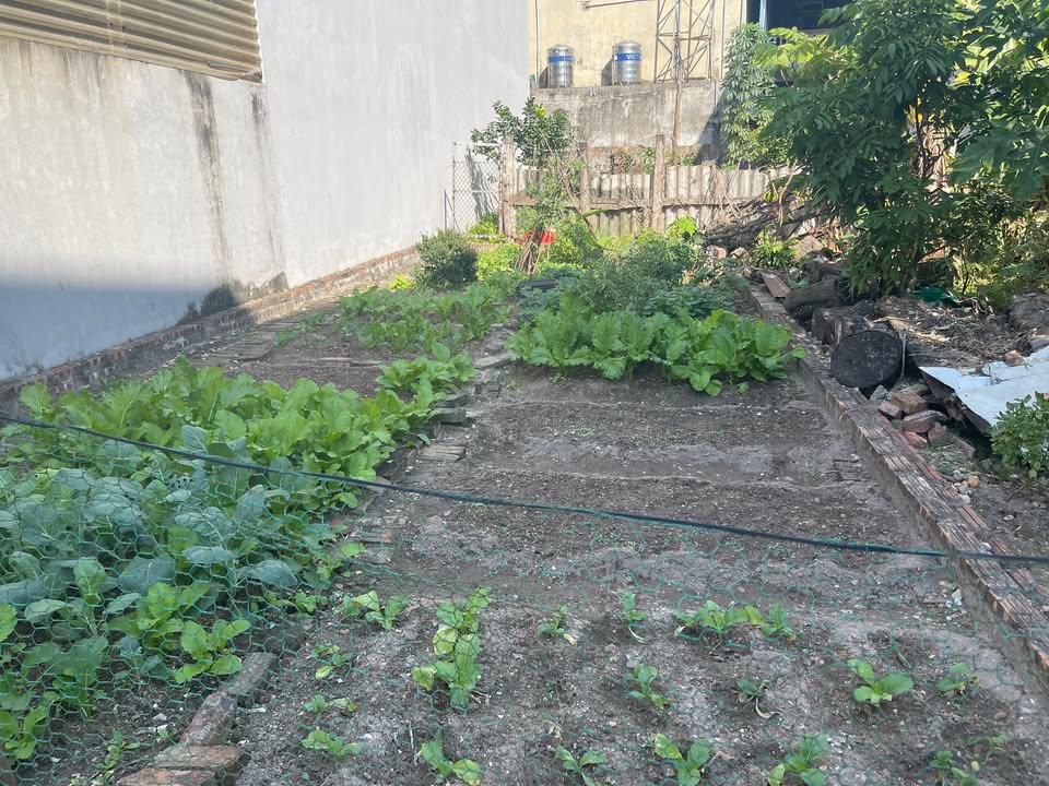 Lô đất đẹp tại Sóc Sơn 88m² giá chỉ 2 tỷ - Sổ đỏ chính chủ!