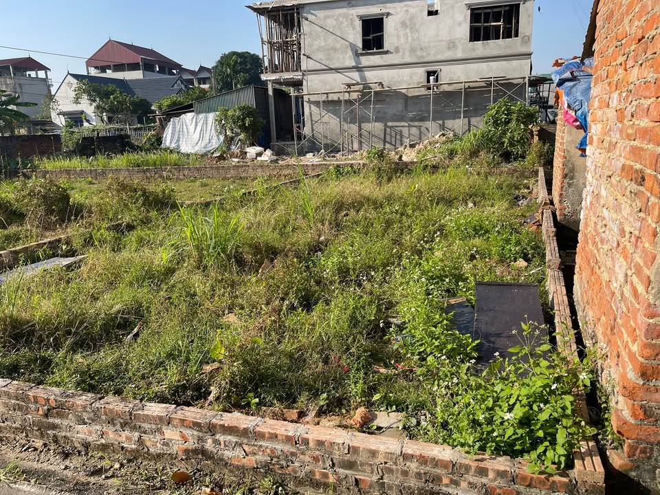 Đất nền 80m² tại Bắc Thượng, Sóc Sơn - Giá chỉ 2 tỷ, sổ đỏ chính chủ!