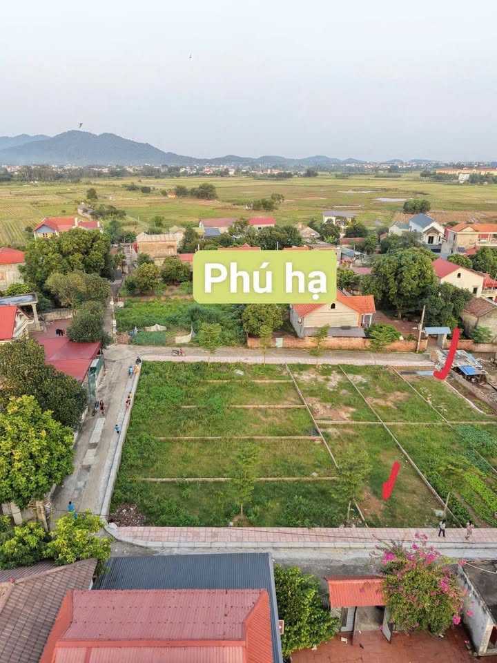 Đất thổ cư Kim Anh, Sóc Sơn 100m² - Sổ đỏ chính chủ, giá thỏa thuận hấp dẫn!