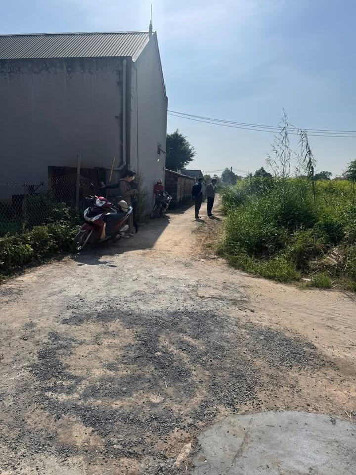 Đất nền Thư Phú, Thường Tín 60,5m² giá 2,4 tỷ - Vị trí đắc địa, gần chợ!