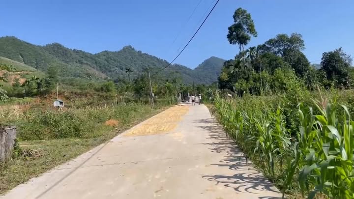 Lô đất nghỉ dưỡng 2.300m² tại Xuân Thủy, Yên Lập - Giá 1 tỷ, vị trí lô góc đẹp