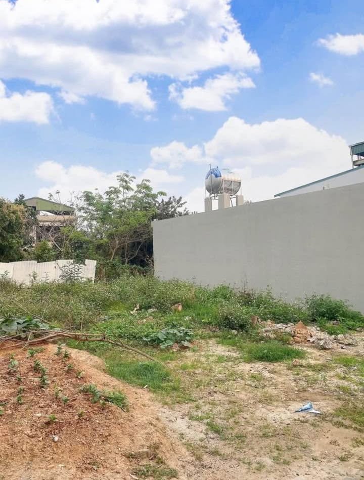 Đất Tân Lập 100m² giá chỉ 500 triệu - Cơ hội đầu tư tuyệt vời!