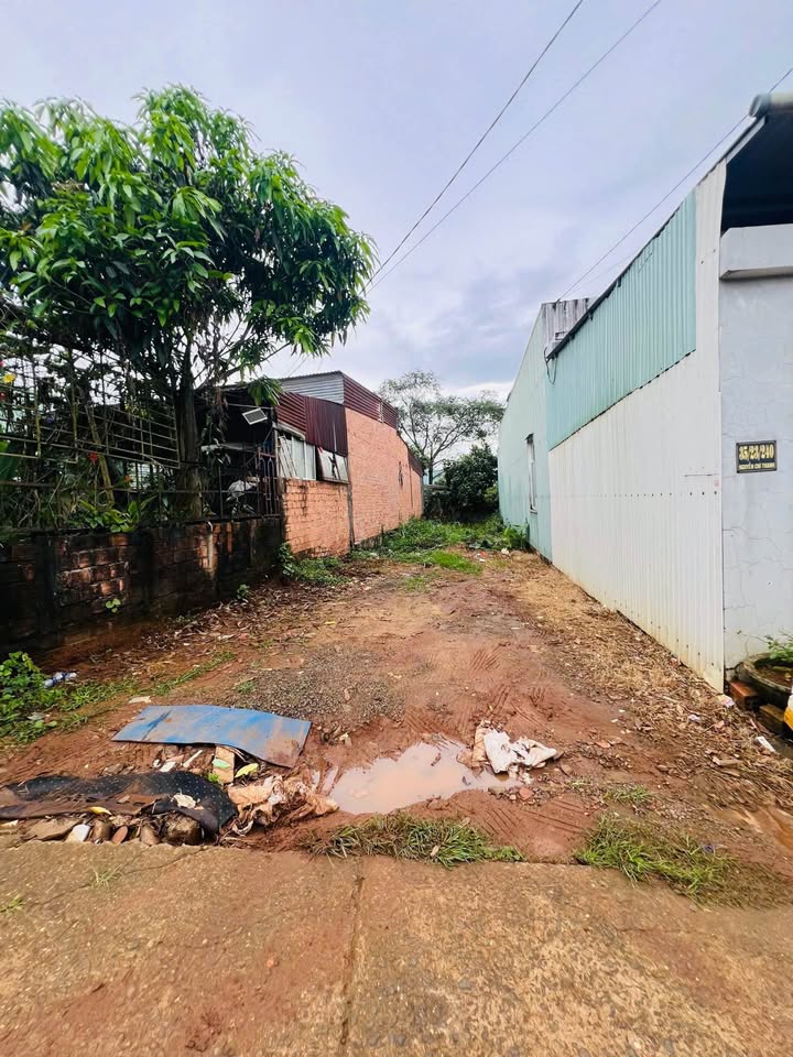 Lô đất 125m² hẻm 240 Nguyễn Chí Thanh, Hội Phú, Gia Lai - Giá chỉ 700 triệu!