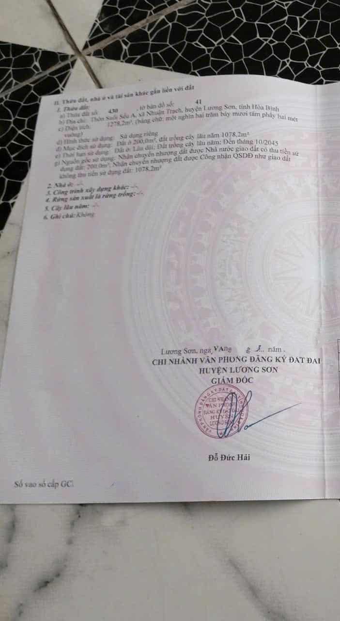 Đất nền Lương Sơn 1270m² giá 5.715 tỷ - Lô góc mặt tiền 60m đẹp hiếm có!