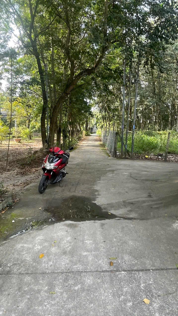 Đất nền Định Hoà, Thủ Dầu Một 100m² giá 1.39 tỷ - Phù hợp xây nhà ở lý tưởng!