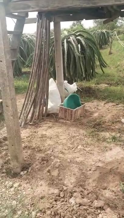 Đất nền thôn 5, xã Hàm Liêm 700m² giá 220 triệu - View suối tuyệt đẹp!