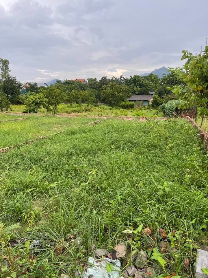 Đất nền Kim Anh, Sóc Sơn 108m² giá 2.164 tỷ - Đường nhựa tận chân, sổ đỏ chính chủ!