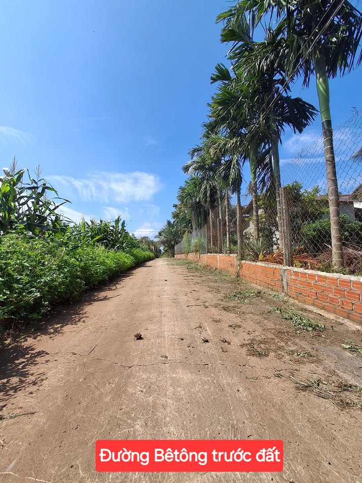 Đất nền thổ cư xã Ea Ning, huyện Cư Kuin, Đắk Lắk 60m² giá chỉ 189 triệu - Cơ hội đầu tư hấp dẫn!