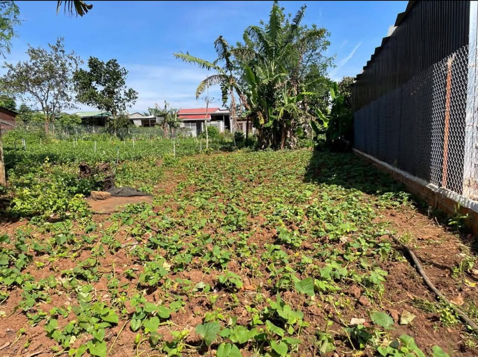 Đất thổ cư hẻm 735 Lê Duẩn, An Phú, 142.5m² - Giá 600 triệu, cơ hội đầu tư tốt!